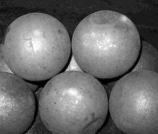 �Vɽ��I(y��)������_�x����t��